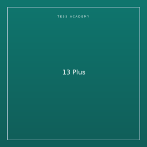 13 Plus