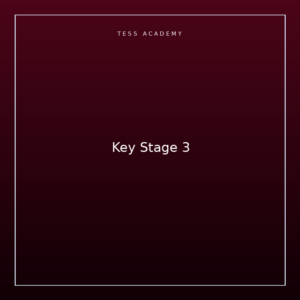Key Stage 3
