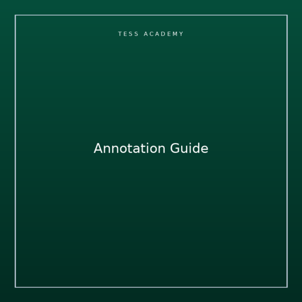 Annotation Guide
