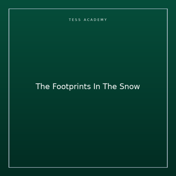 The Footprints In The Snow