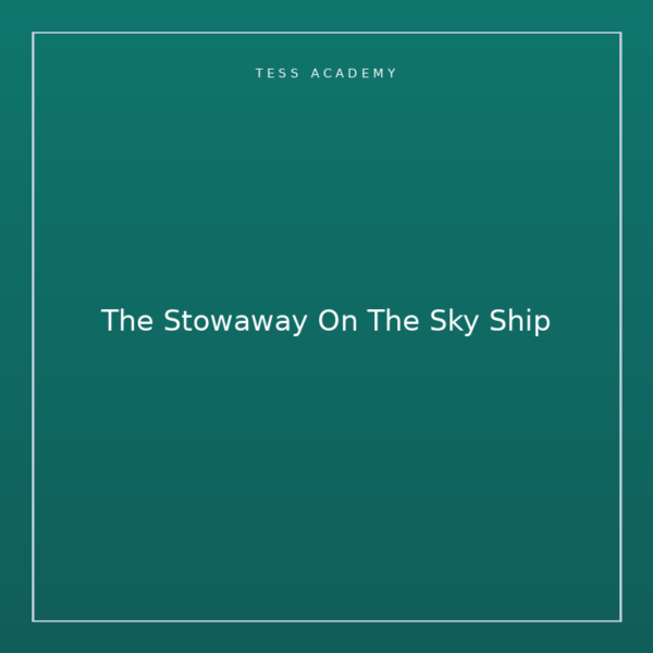 The Stowaway On The Sky Ship
