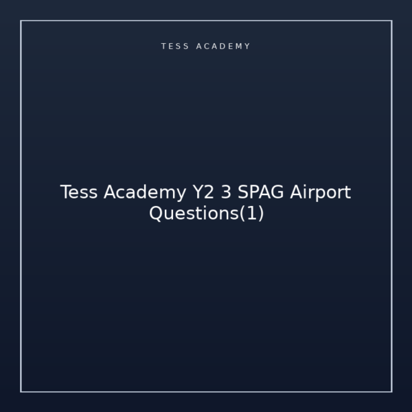 Tess Academy Y2 3 SPAG Airport Questions(1)