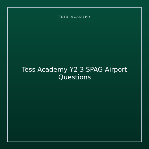Tess Academy Y2 3 SPAG Airport Questions