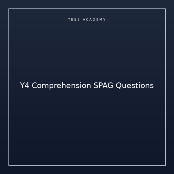 Y4 Comprehension SPAG Questions