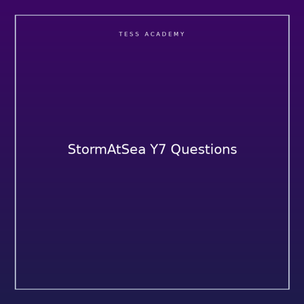 StormAtSea Y7 Questions